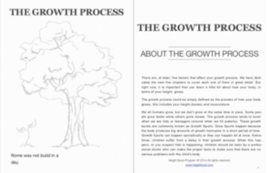 Height Burst Program Preview